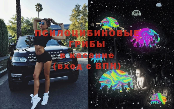 марки lsd Горнозаводск