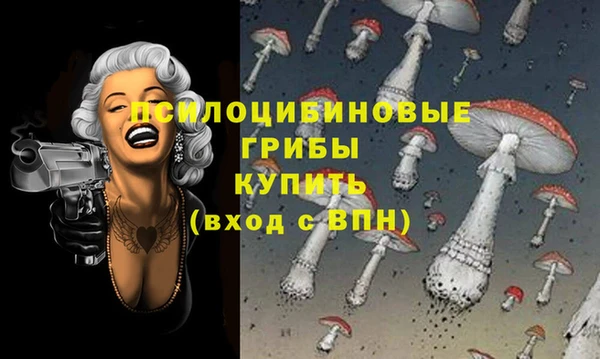 метадон Горняк