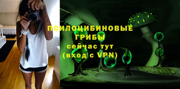 метадон Горняк